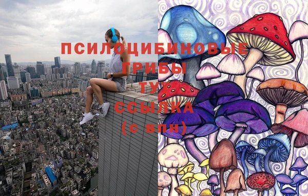 МДПВ Богородск