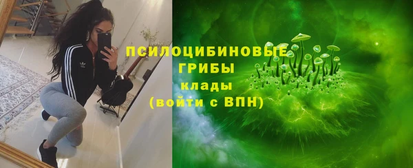 стафф Богородицк