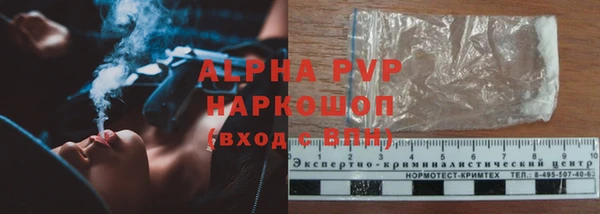 стафф Богородицк