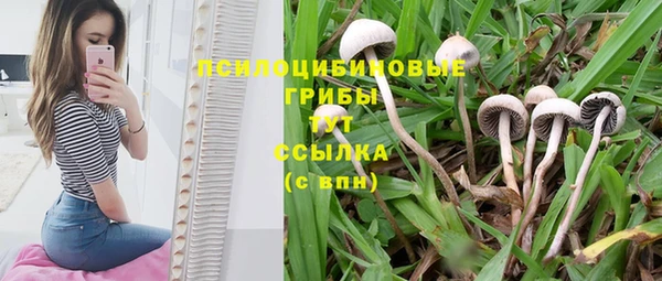 марки nbome Богданович