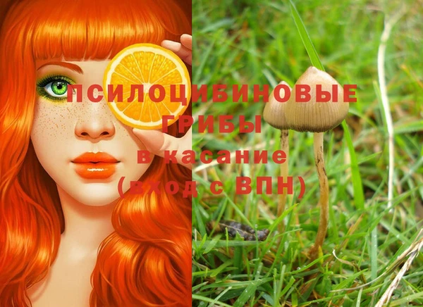 стафф Богородицк