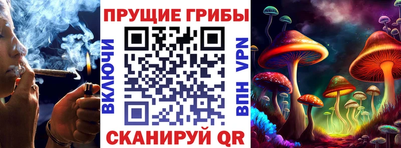 даркнет сайт  Болотное  Псилоцибиновые грибы GOLDEN TEACHER 